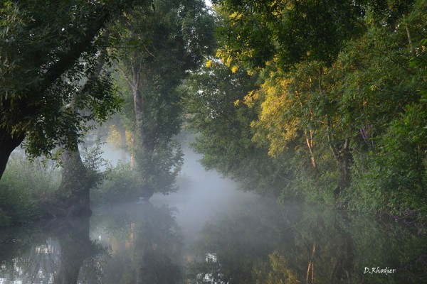 Beauté du marais aux aurores 