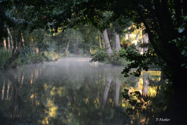 Vue des canaux le matin à l'aube