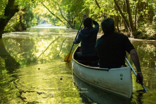 Balade en canoë dans la Venise verte