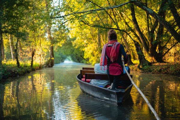 Promenade en barque sur la Venise Verte du Marais Poitevin