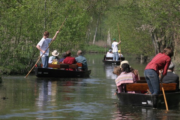 Location de barques pour les groupes