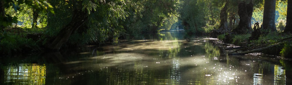 Embarcadère la Venise Verte dans le Marais Poitevin