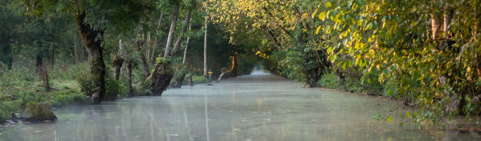 Embarcadère la Venise Verte dans le Marais Poitevin