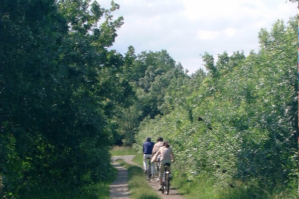 A l'ombre des peupliers à vélo le long des chemins de halage