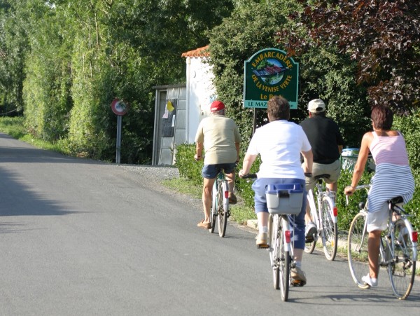 Location de vélo pour promenade dans la Venise Verte