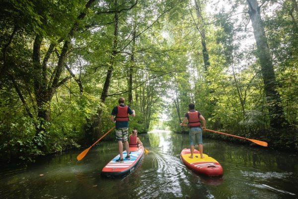 Paddle dans le marais poitevin