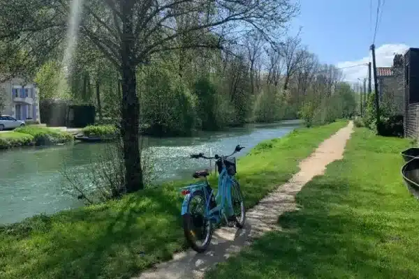 Découverte du Marais poitevin en vélo, le long d'un chemin de halage