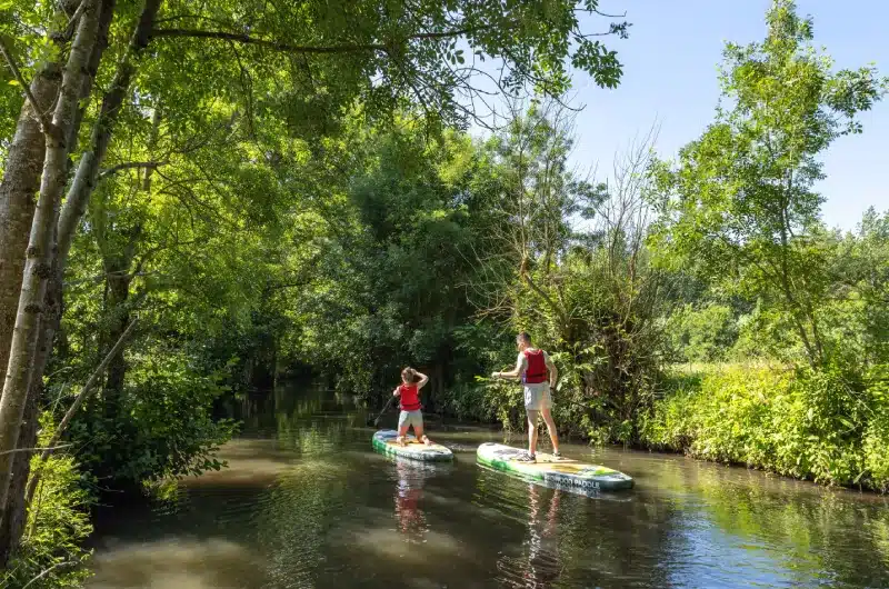 Location de paddles dans le Marais poitevin - Embarcadère de la Venise Verte Promenade en paddle dans la Venise Verte - Embarcadère de la Venise Verte