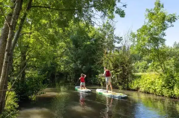 Découverte de la Venise Verte en paddle